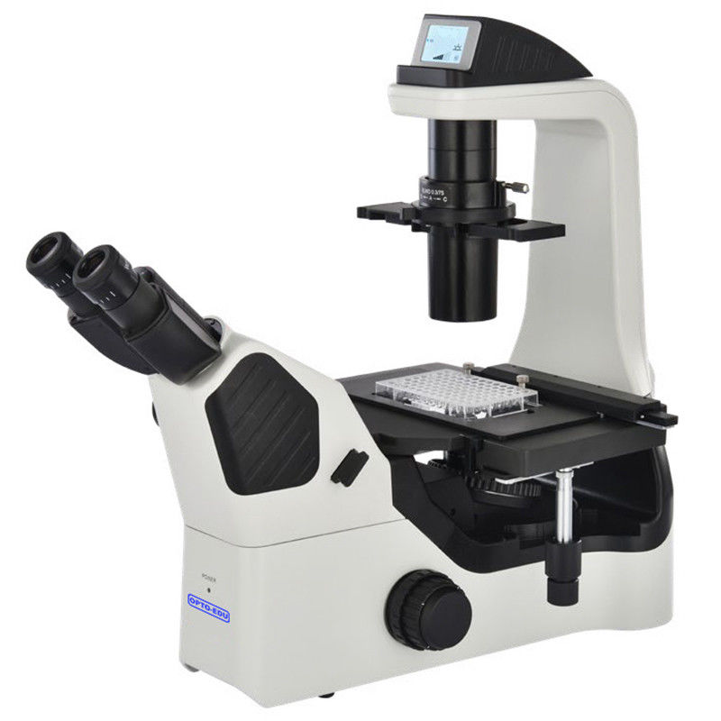 OPTO EDU A14.1064 Inclined Phase Contrast Fluorescence Microscope